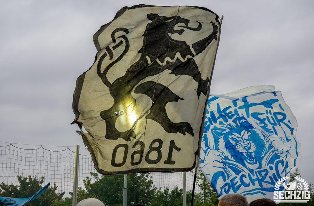 P8180041 (2)